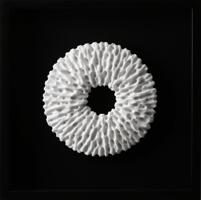 Sculptural Drawing