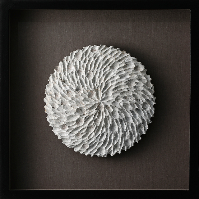 Sculptural Drawing