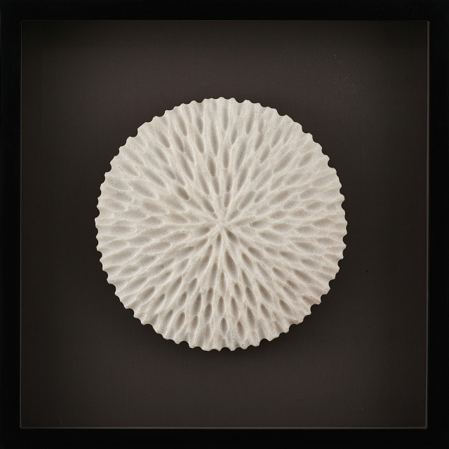 Sculptural Drawing
