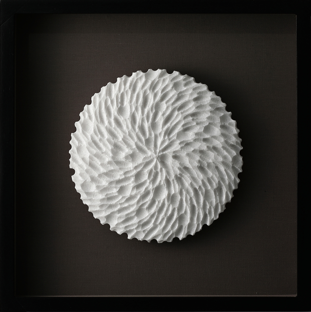 Sculptural Drawing