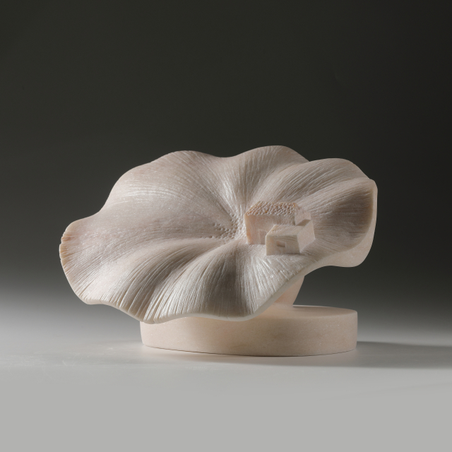 Bloomingness5