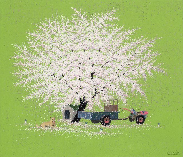 In full bloom M240907
