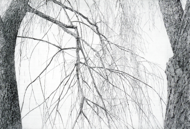 한강변 버드나무2