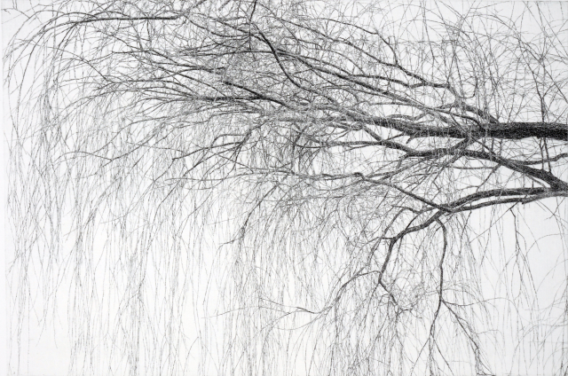 한강변 버드나무3