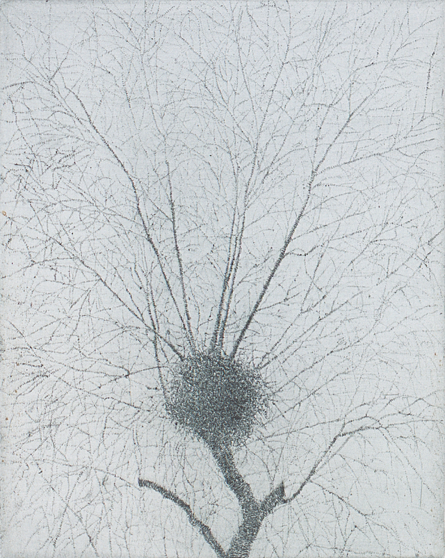 Big coexistence tree