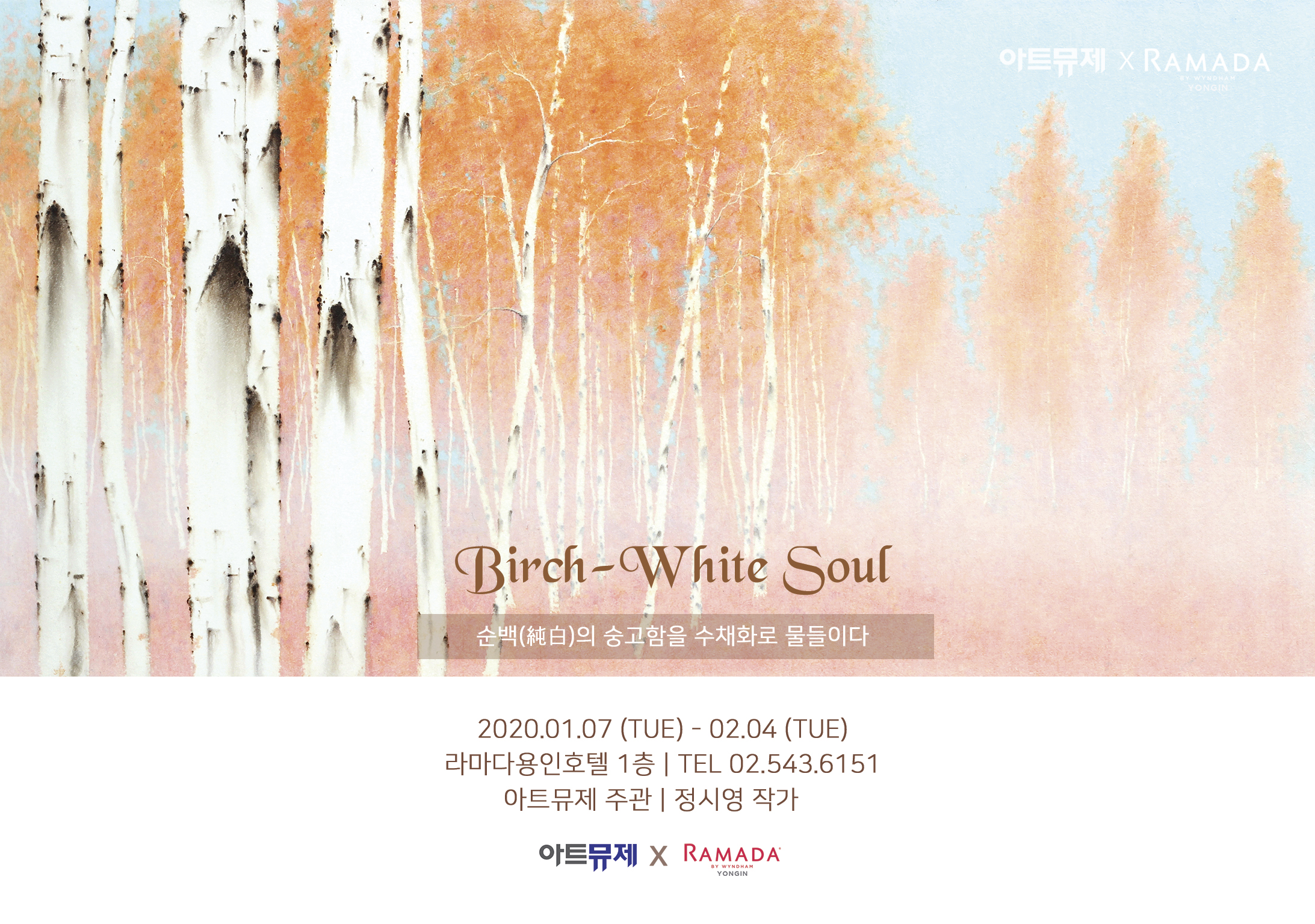 [찾아가는미술관] 정시영작가 - Birch-White Soul 전시