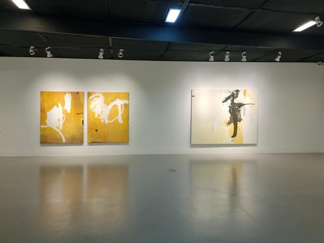 안준희 작가 2024 전시회 전경